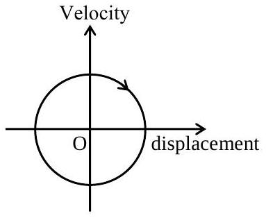 Structure B