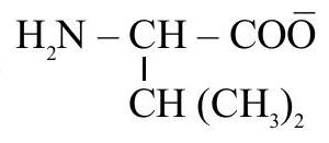 Structure B