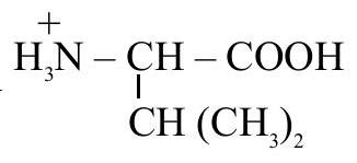 Structure B