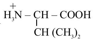 Structure B