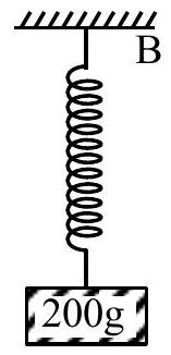 Structure B