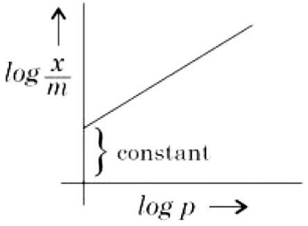 Structure B