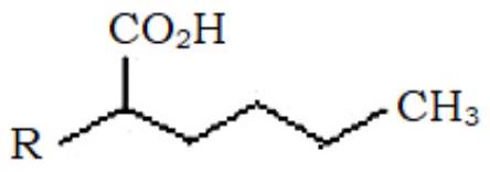 Structure B