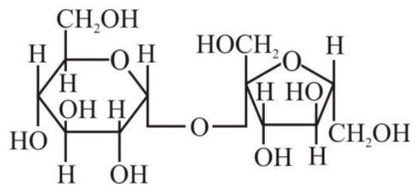 Structure Sucrose structure