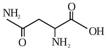 Structure Structure of asparagine
