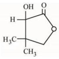 Structure Lactone (Y)