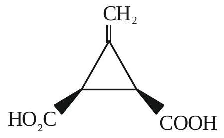 Structure E