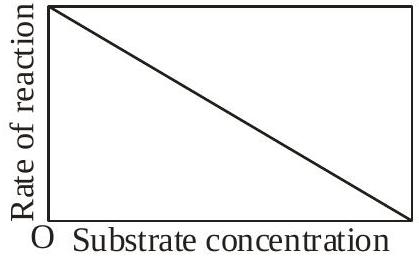Structure b