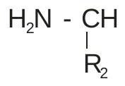 Structure B