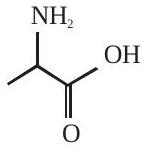 Structure C