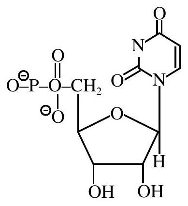 Structure Nucleotide structure