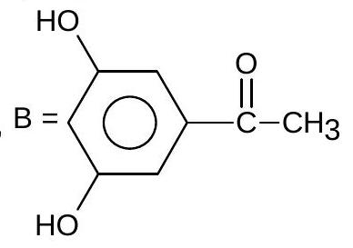 Structure B