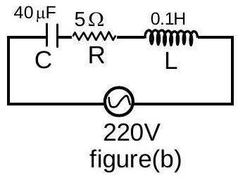 Structure Circuit (b)