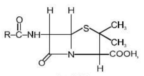 Structure Penicillin