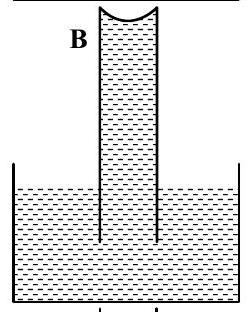 Structure B