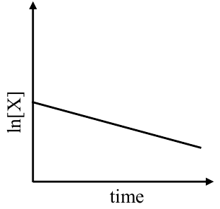 Structure T