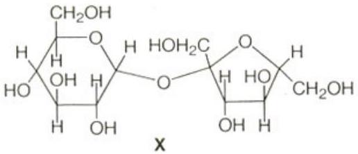 Structure X